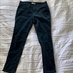 LOFT Corduroy Pants